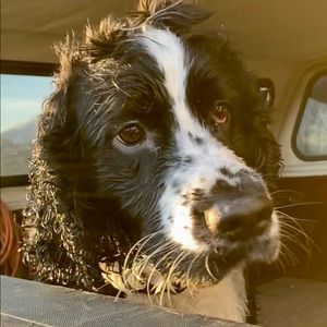 Meet your Posher, Sara